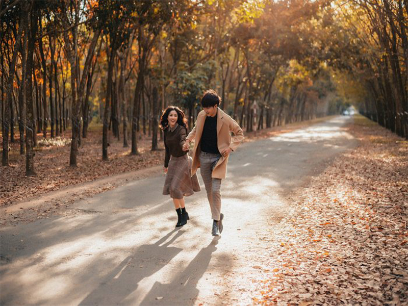 Vẻ đẹp của rừng cao su vào mùa thay lá