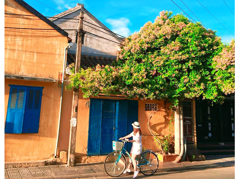 Lang thang Hội An