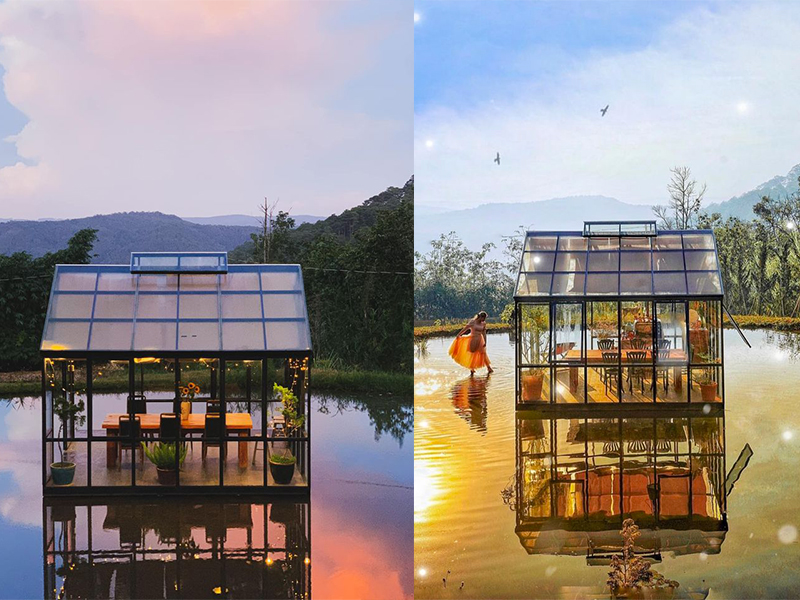 Đợi một người Homestay Đà Lạt