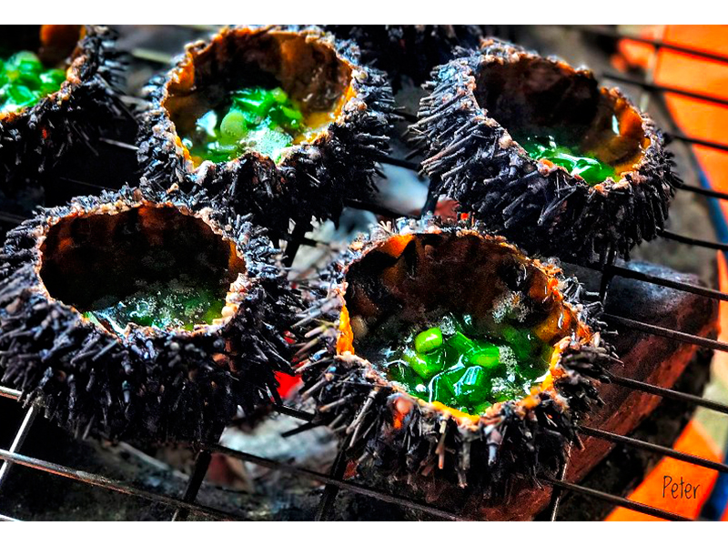 Nhum biển Phú Quốc