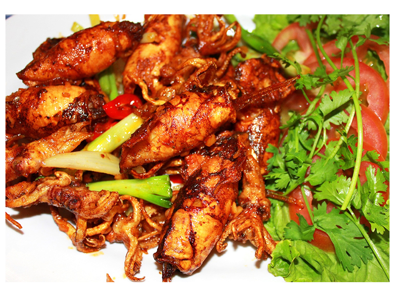 Mực trứng Phú Quốc