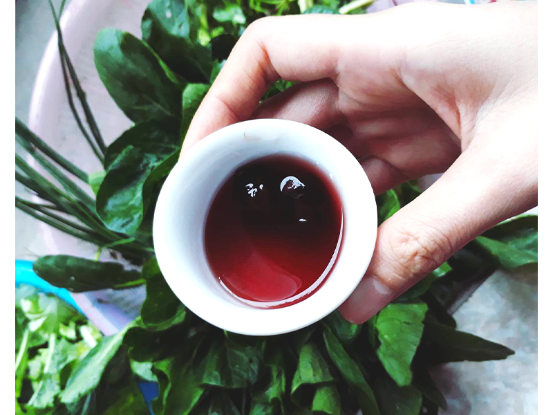 Rượu sim Phú Quốc