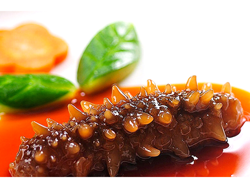 Hải sâm Phú Quốc