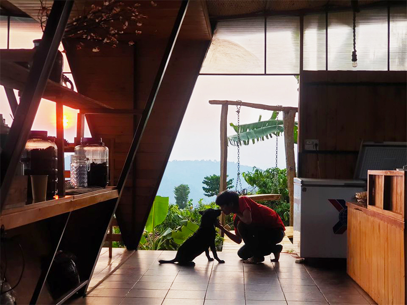 Freedom Green Village