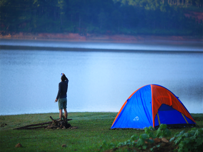 Cây thông cô đơn - Suối Vàng