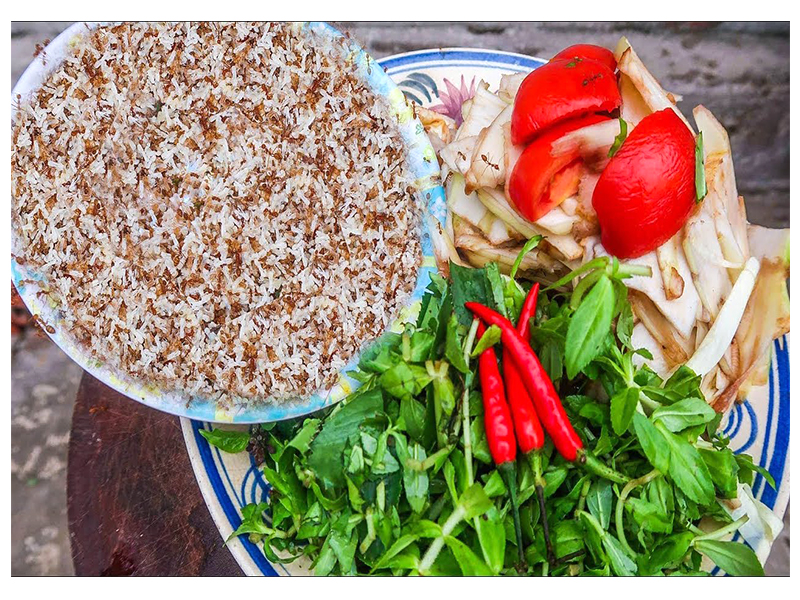 Canh chua kiến vàng