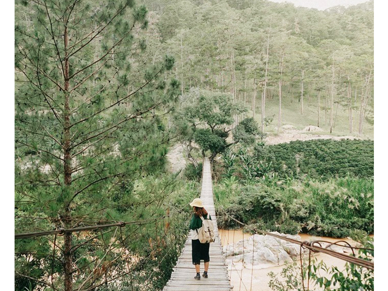 Cầu treo La Bá Đà Lạt