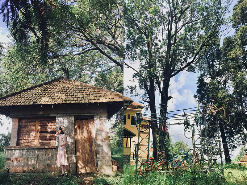 Vẻ đẹp Dinh Tỉnh Trưởng Đà Lạt