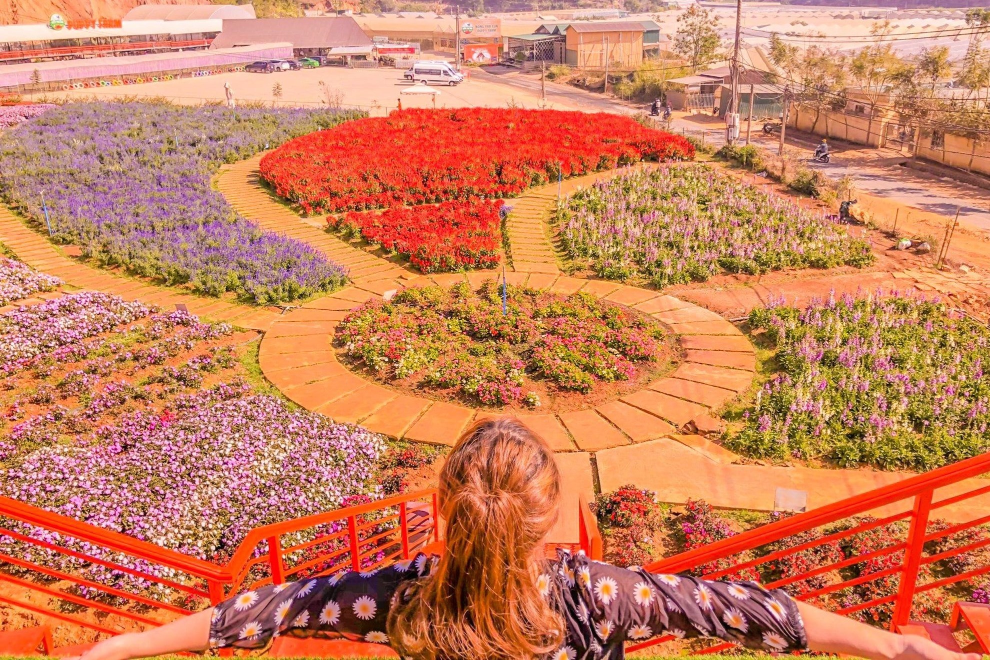 Tham quan nông trại đầy hoa tại Puppy Farm